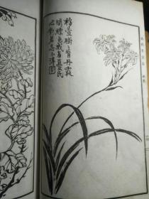 病鹤丛画