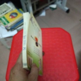 杨式太极拳竞赛套路