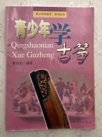 “青少年学音乐”系列丛书：青少年学古筝