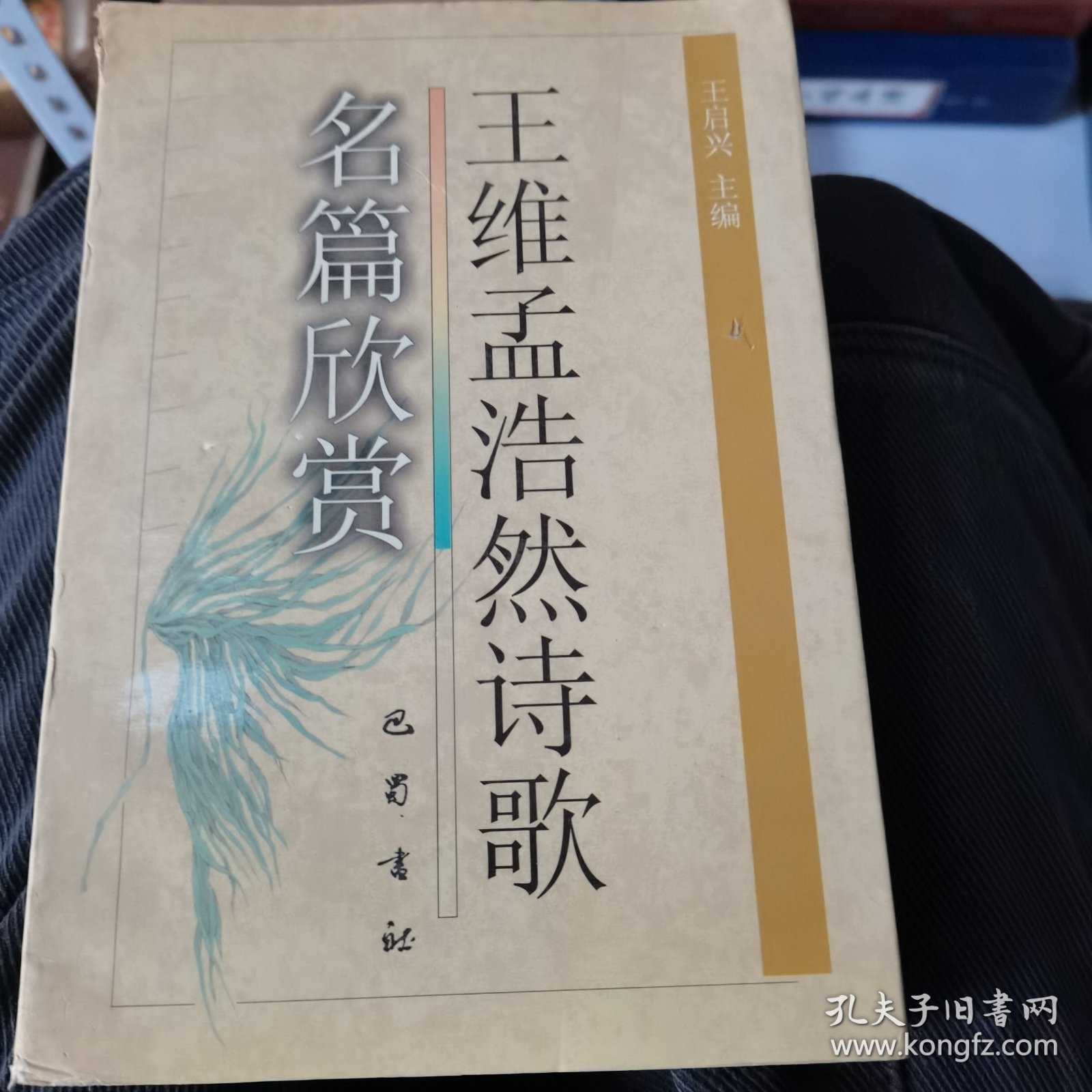 王维孟浩然诗歌名篇欣赏
