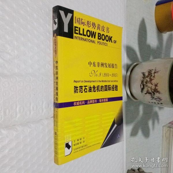 中东非洲发展报告.No.8(2004~2005).防范石油危机的国际经验.No.8(2004~2005).Special report on international experiences for prevention of oil crisis  有光盘