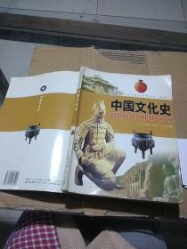 中国文化史 选修