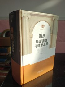 刑法适用指导与疑难注解