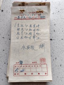 手写中药处方（当归，附片，杭芍，白术，麻黄，知母，桂枝，甘草）
