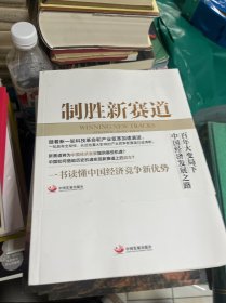 制胜新赛道：战略、路径和政策