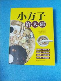 小方子治大病   中医书籍养生偏方大全民间老偏方美容养颜常见病防治 保健食疗偏方秘方大全小偏方老偏方中医健康养生保健疗法