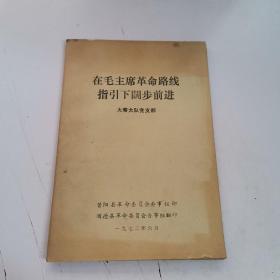 在毛主席革命路线指引下阔步前进