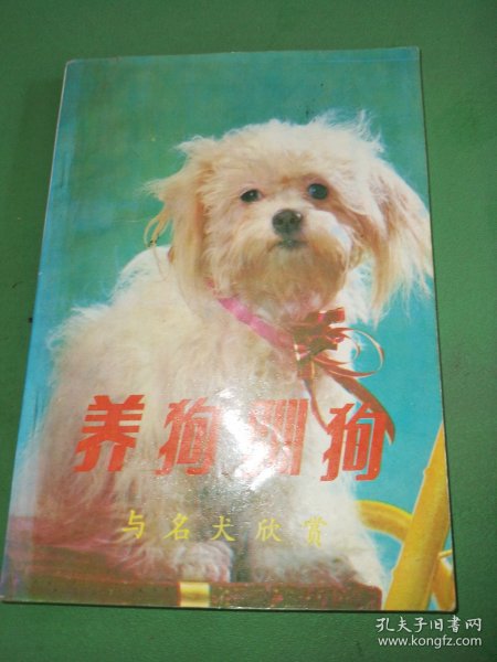 养狗驯狗与名犬欣赏