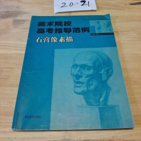 美術(shù)院校高考指導(dǎo)范例.石膏像素描