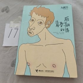 后青春期的诗