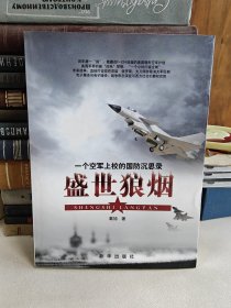 盛世狼烟：一个空军上校的国防沉思录