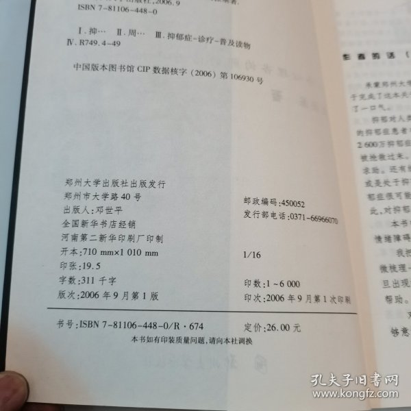 抑郁：一个心理咨询师的治疗手记