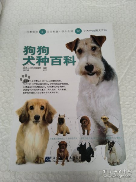 狗狗犬种百科