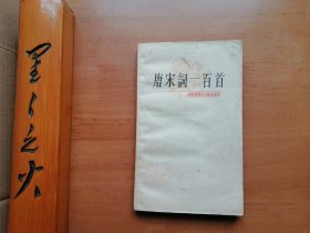 唐宋词一百首（中国古典文学作品选读）