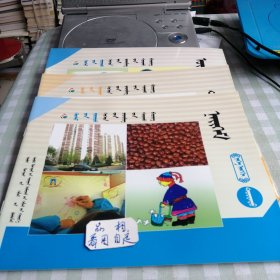 《理想的天空》幼儿园学生用书，语言 计算社会科学大班下册蒙古文。单本价，留言即可。