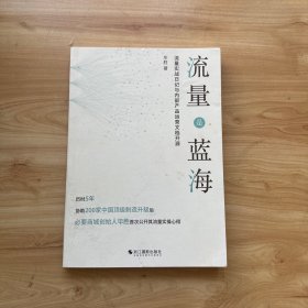 流量是蓝海  【内页干净】