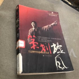 王志纲策划文库-策划旋风