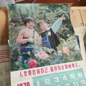 1978年年画宣传画：人类要控制自己，做到有计划地增长