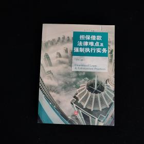 担保借款法律难点及强制执行实务