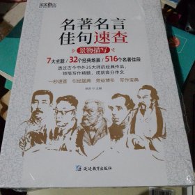 【天天向上】全三册名著名言佳句速查 名人名言+人物描写+景物描写（全套三本）