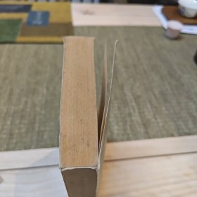 乞丐·窃贼