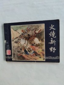 火烧新野双79