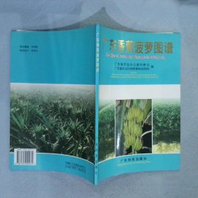 广东香蕉菠萝图谱 广东省农业办公室科教处，广东省农业科学院果树研究所编 9787535920072 广东科技出版社