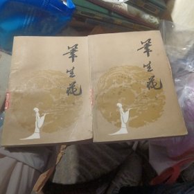 笔生花 上中册 缺下册（西2柜3）