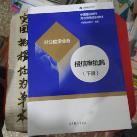 对公信贷业务授信审批篇下册。