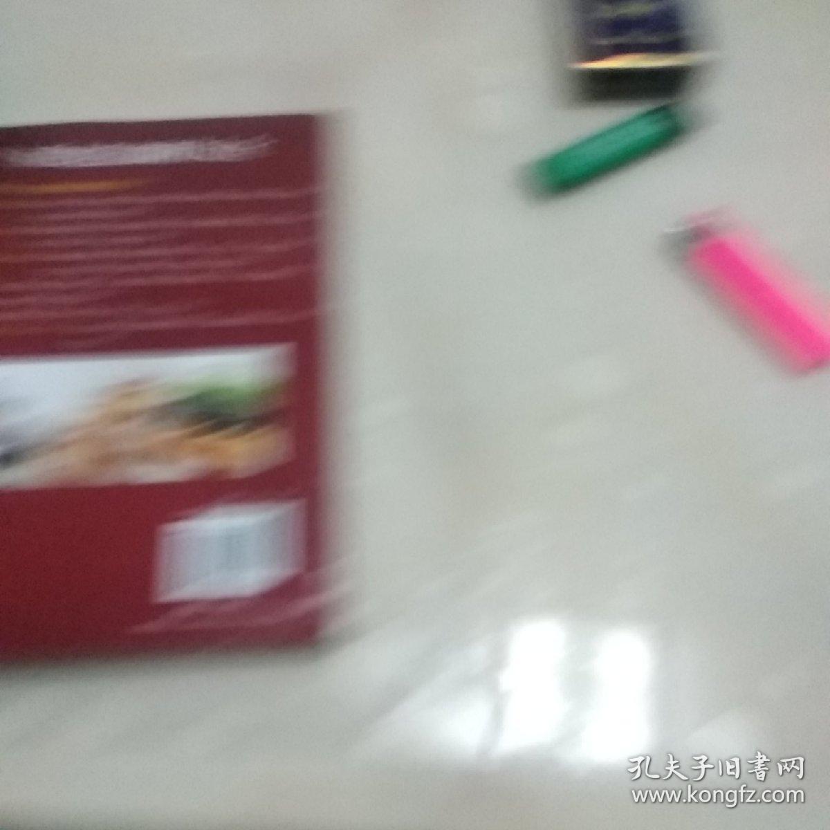 西式糕点制作大全