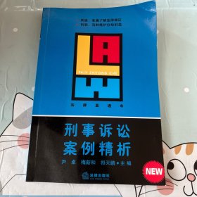 刑事诉讼案例精析