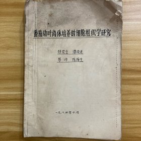 番茄幼叶离体培养的细胞组织学研究 论文稿