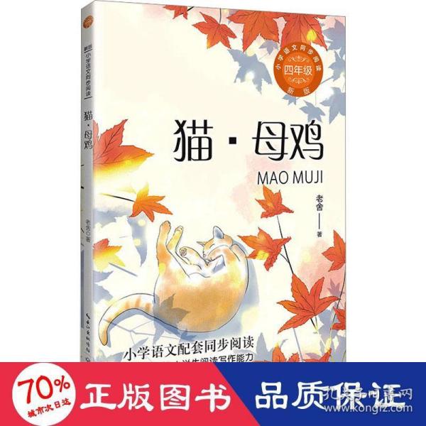 猫·母鸡：课文作家作品，小学语文教材同步配套读物（四年级下册)