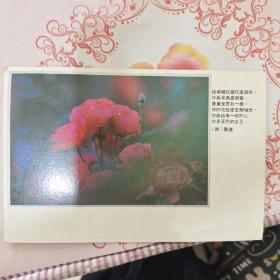 老明信片 1987年实寄片  贴8分北京民窟邮票