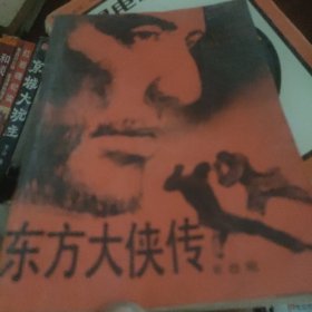 东方大侠传:章回武林小说