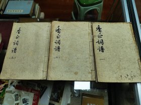 香正词谱一二三册全