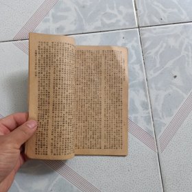 中国杀人王 大闹纽约 上集 少封底