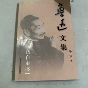 鲁迅文集（伪自由书）