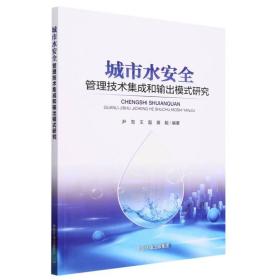 城市水安全管理技术集成和输出模式研究