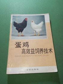 蛋鸡高效益饲养技术