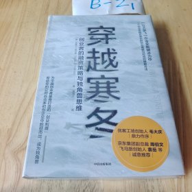 穿越寒冬:《让大象飞》作者的全新破冰力作