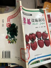 草莓设施栽培——果树设施栽培丛书