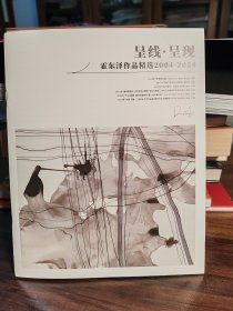 呈线呈现-霍东泽作品精选2004至2024画册