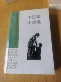 陀斯妥耶夫斯基选集中篇小说选 平装32开，1993年一版印，售70元包快递