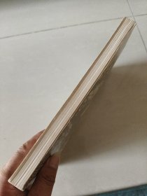 Europe in Retrospect [回溯欧洲 200年】 16开英文原版 有插图