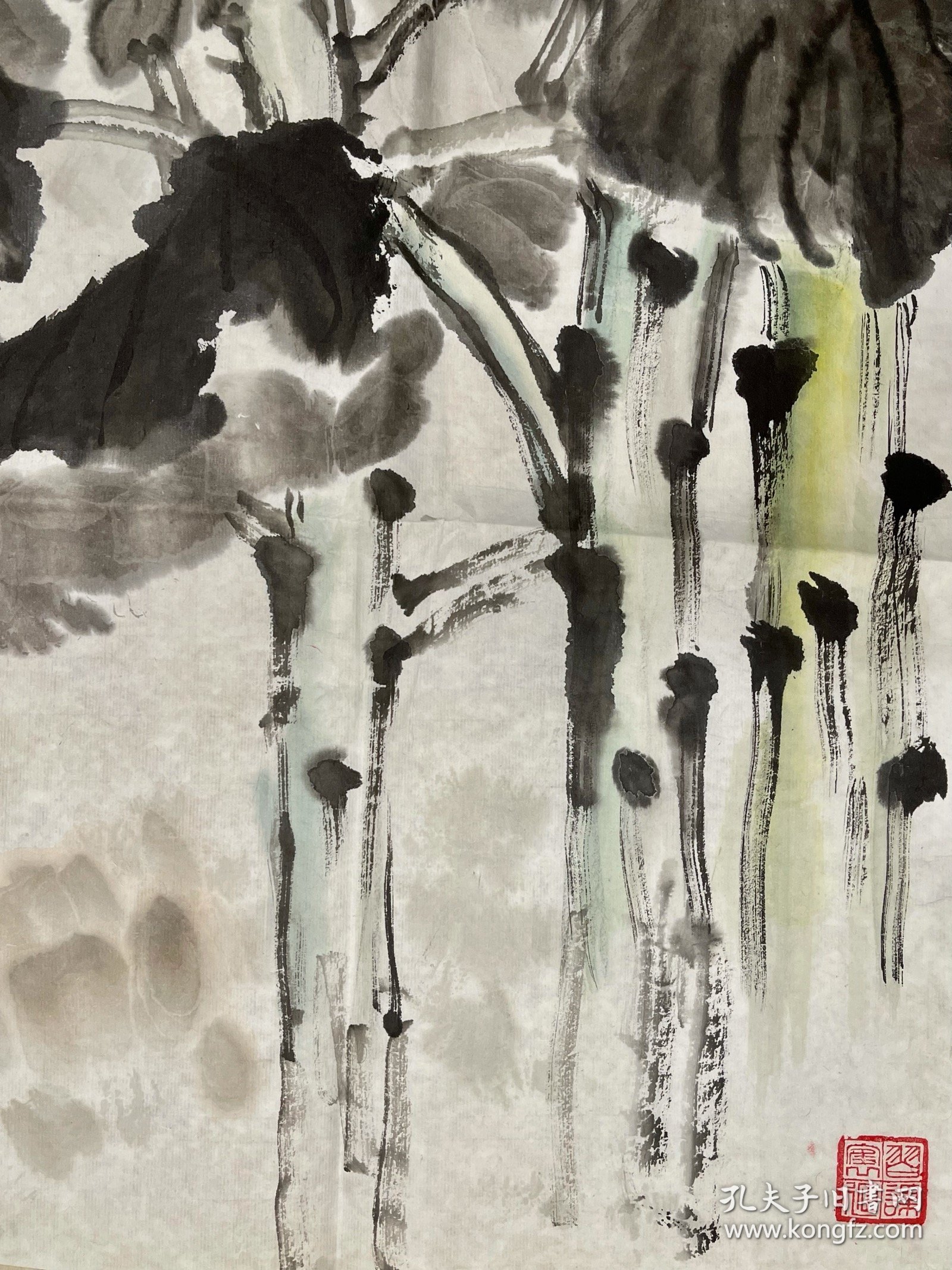 郑隽延，1937年2月7日生，天津市人。1958年毕业于天津市卫生学校，一九六三年毕业于天津医学院。曾任天津医科大学附属总医院外科医师，天津高等医学专科学校“外科学”及“人体解剖学”教师。1970年拜孙其峰先生为师，学习中国花乌画。现为中国美术家协会天津分会会员。