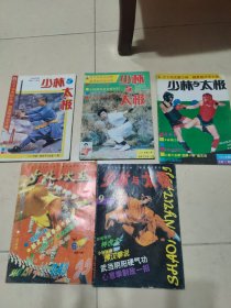 少林与太极1993年3,4,1994年4,1999年6,9（5本合售）综合少林拳，铁手鹰爪功，宇宙全息过功，武当阴阳硬气功，等见图。