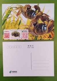 【任选其一价格】2023年辽宁七品之盘锦河蟹标签极限片（原地首日风景戳戳）告诉我那个。