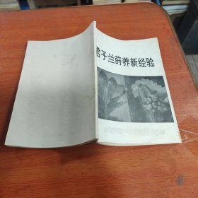 君子兰莳养新经验。