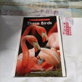 ReadingA-Z  these  birds